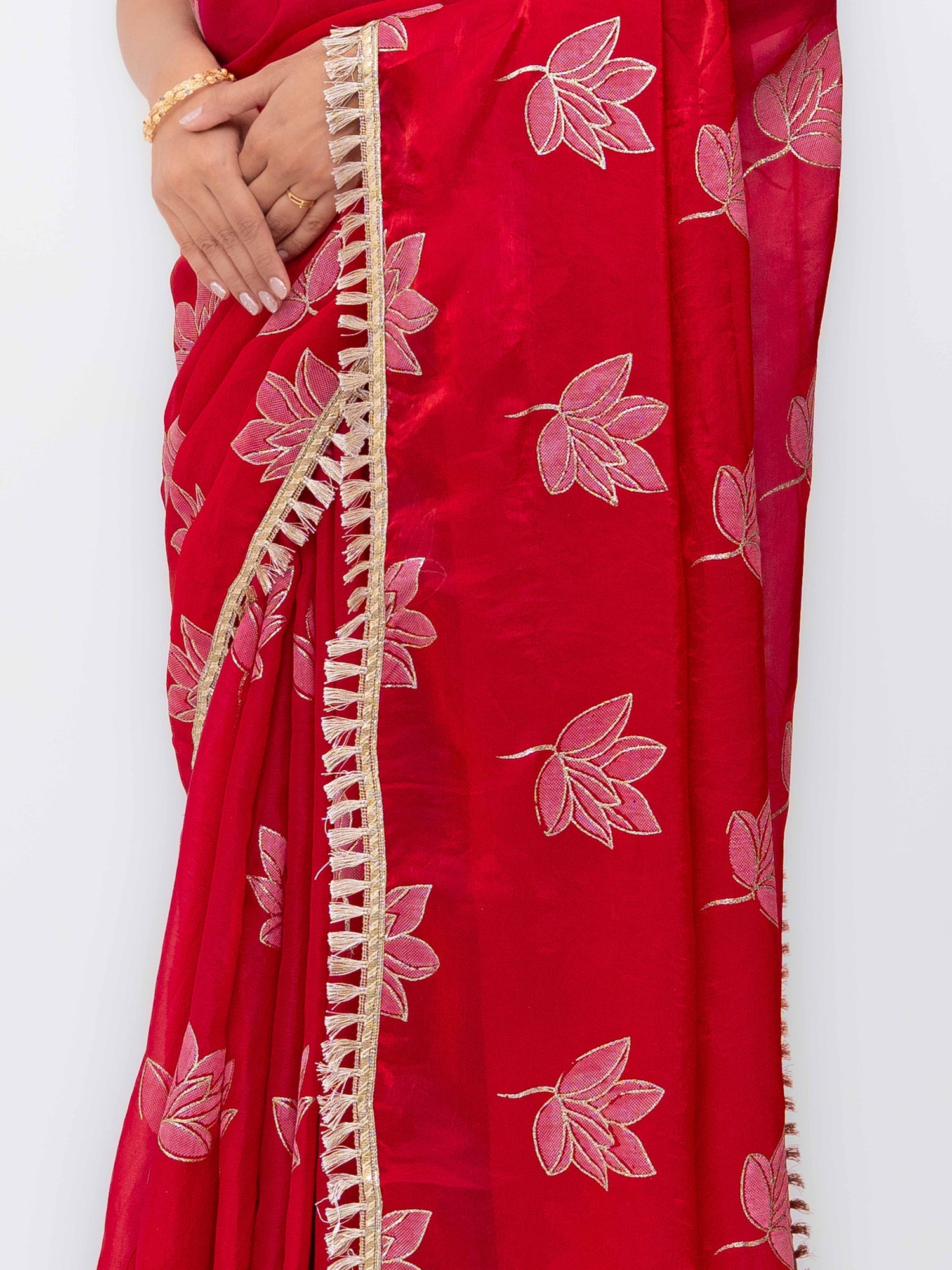 Rani Pink Jimmi Choo Saree