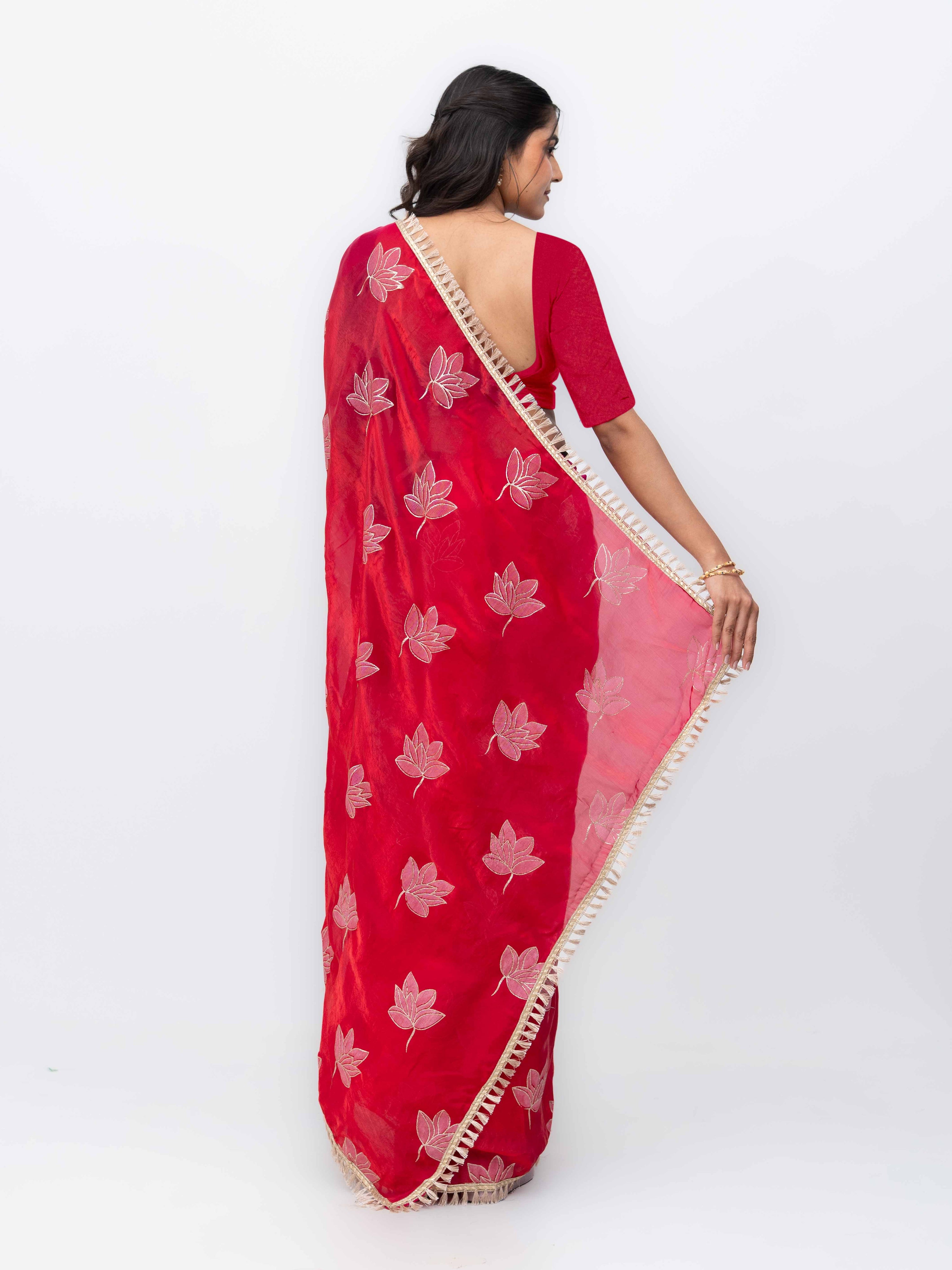 Rani Pink Jimmi Choo Saree